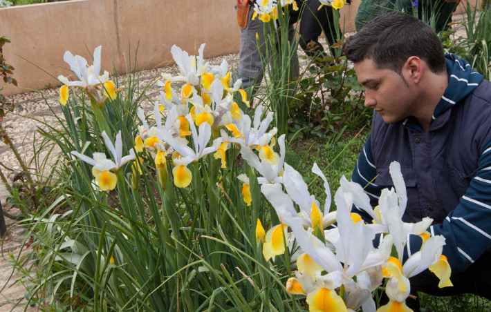 La Alhambra consolida su apuesta por el empleo público con la incorporación de 44 nuevos puestos de trabajo